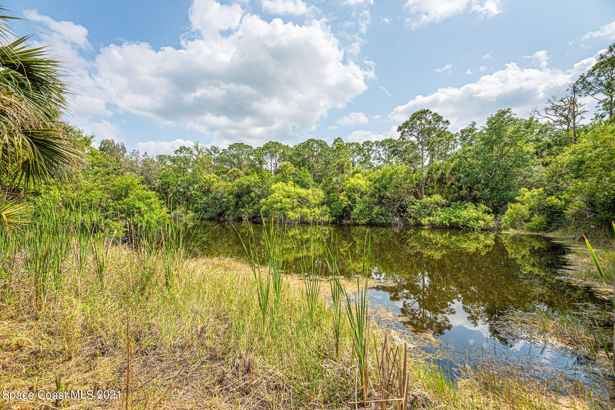 4675 Rector Road Cocoa, FL 32926 - Photo 8 of 32 JC7_1771-HDR-2