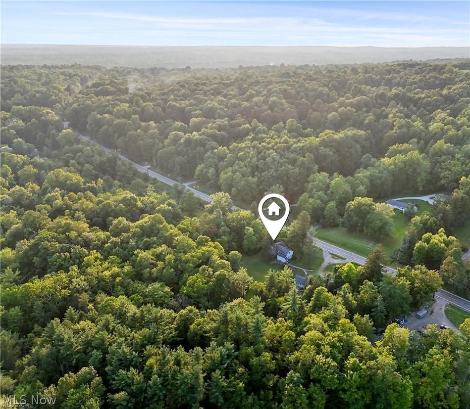 10571 Mayfield Road Chesterland, OH 44026 - Photo 30 of 39 Aerial view of mature woodlands.