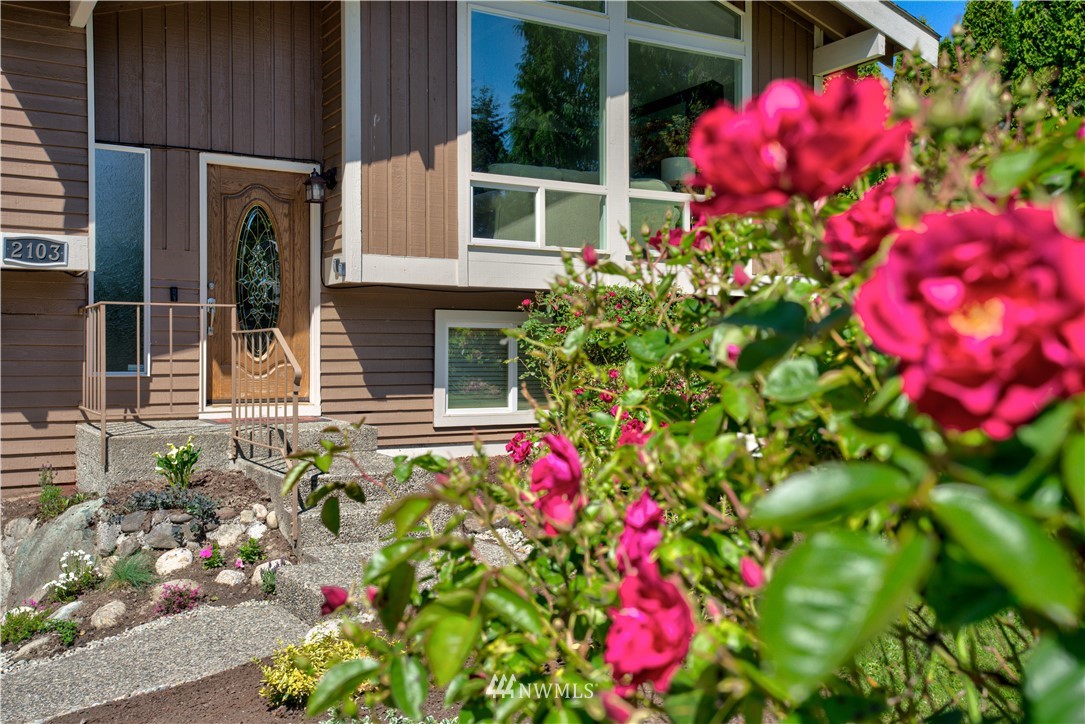 2103 Southeast 21st Street Renton, WA 98055 - Photo 3 of 23 a flower plants