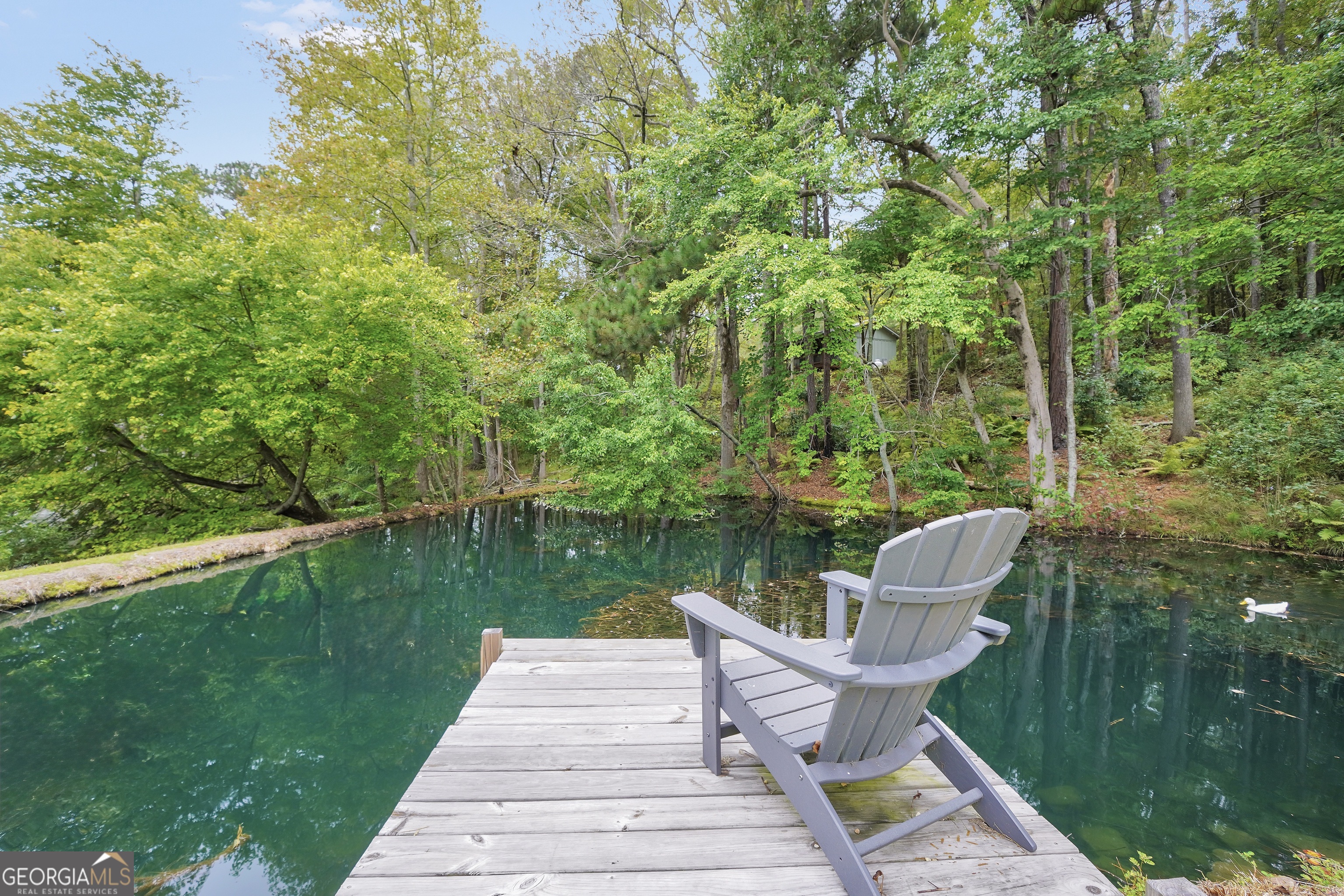 686 Burkett Road Thomaston, GA 30286 - Photo 40 of 70 a view of a lake with a patio