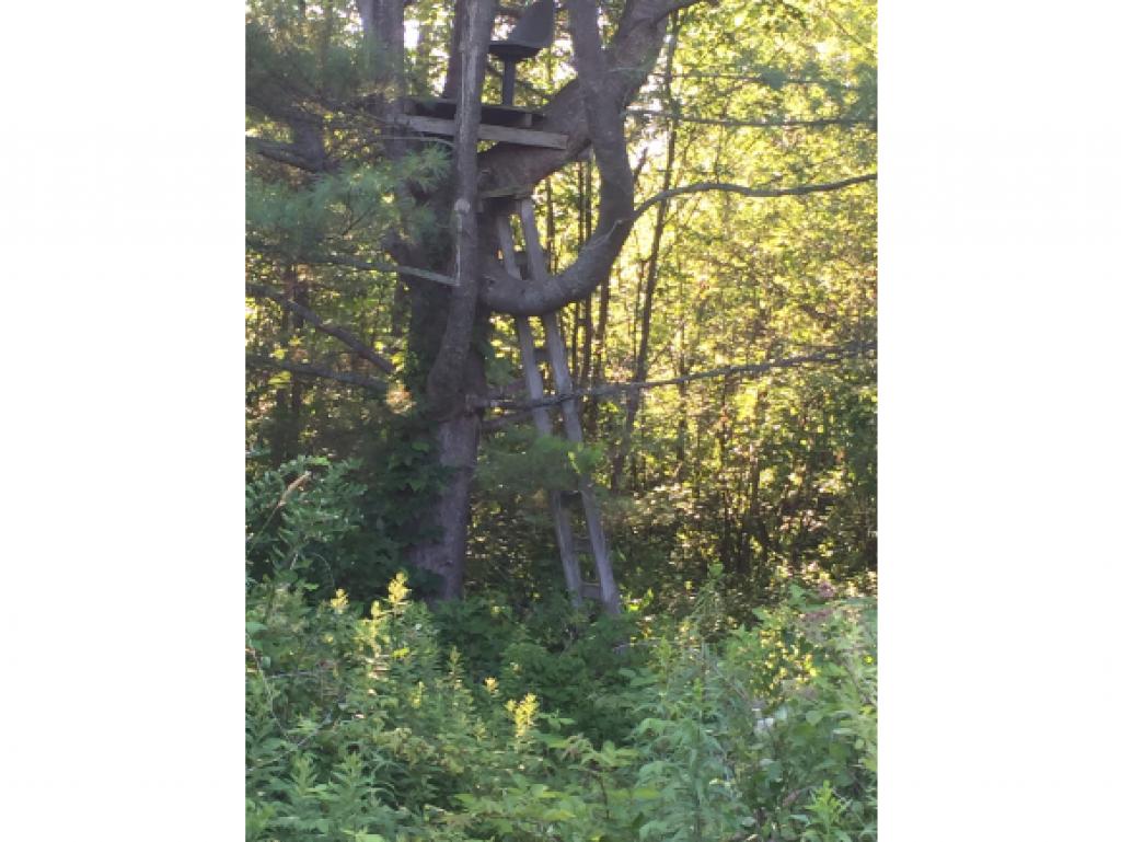 175 West Shore Road Alburgh, VT 05440 - Photo 22 of 35 Gallery Image 22
