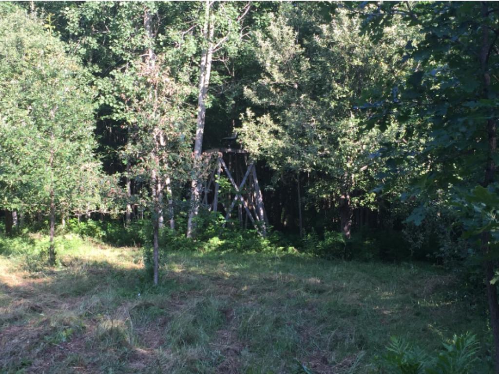 175 West Shore Road Alburgh, VT 05440 - Photo 26 of 35 Gallery Image 26