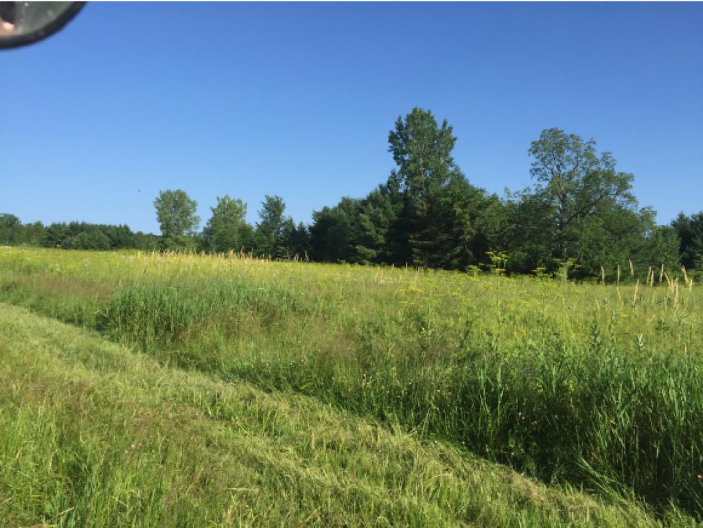 175 West Shore Road Alburgh, VT 05440 - Photo 30 of 35 Gallery Image 30