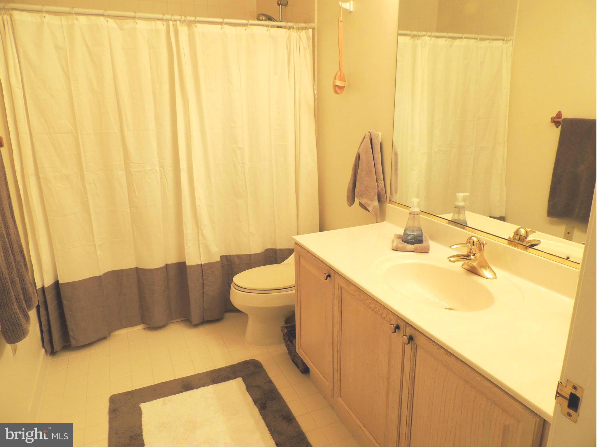 503 Runabout Loop, Unit 503 Solomons, MD 20688 - Photo 12 of 29 Bath (Master)