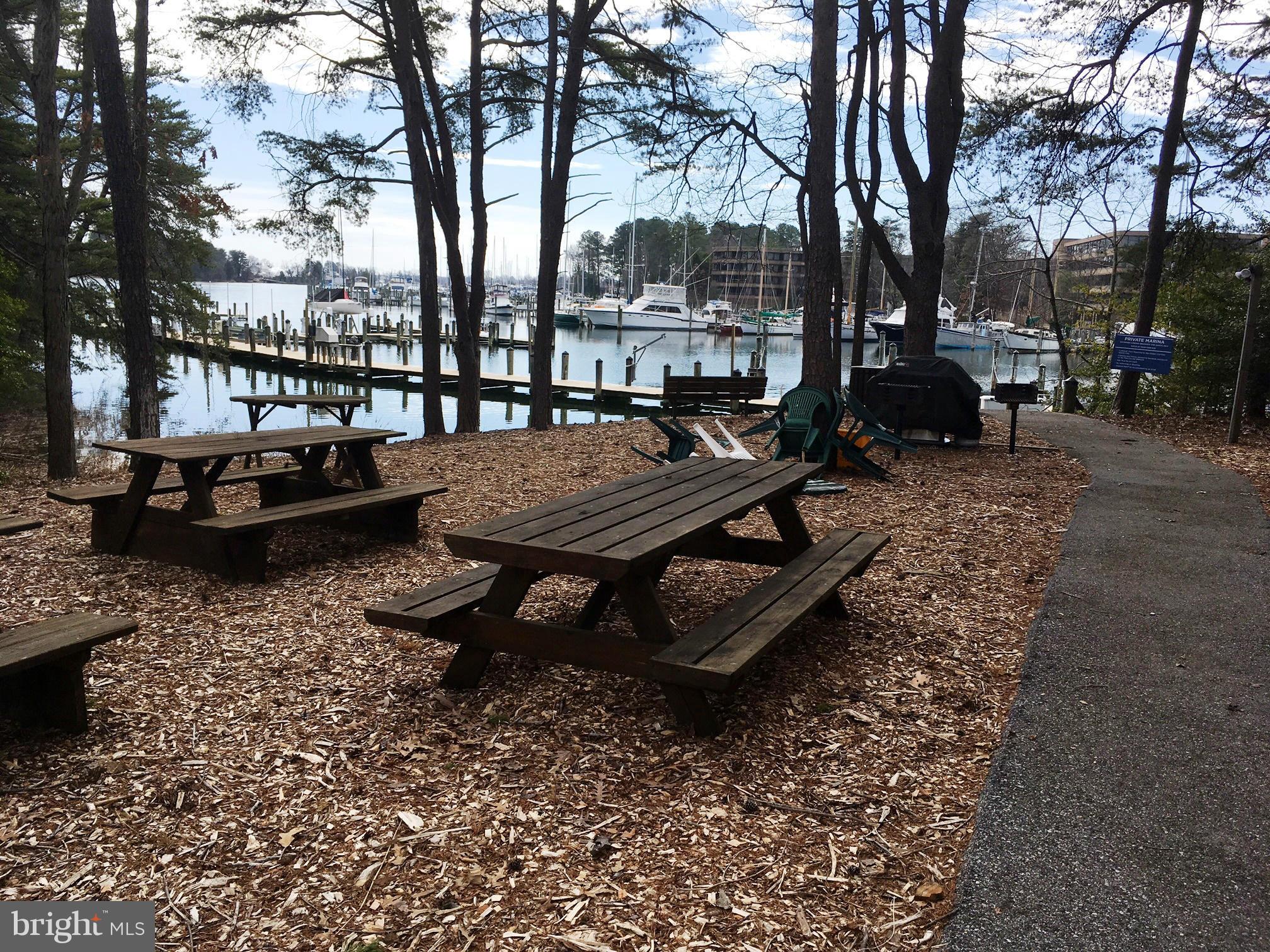 503 Runabout Loop, Unit 503 Solomons, MD 20688 - Photo 21 of 29 Picnic areas throughout community