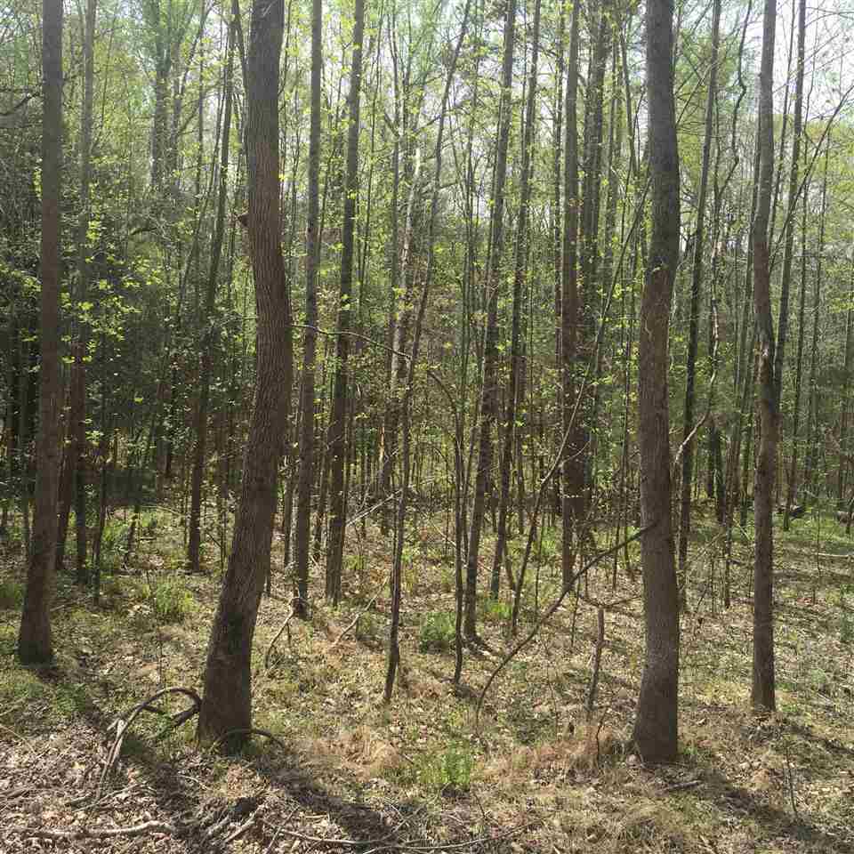 0 Harrison Grove Road Roebuck, SC 29376 - Photo 1 of 8