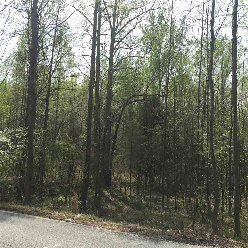 0 Harrison Grove Road Roebuck, SC 29376 - Photo 2 of 8