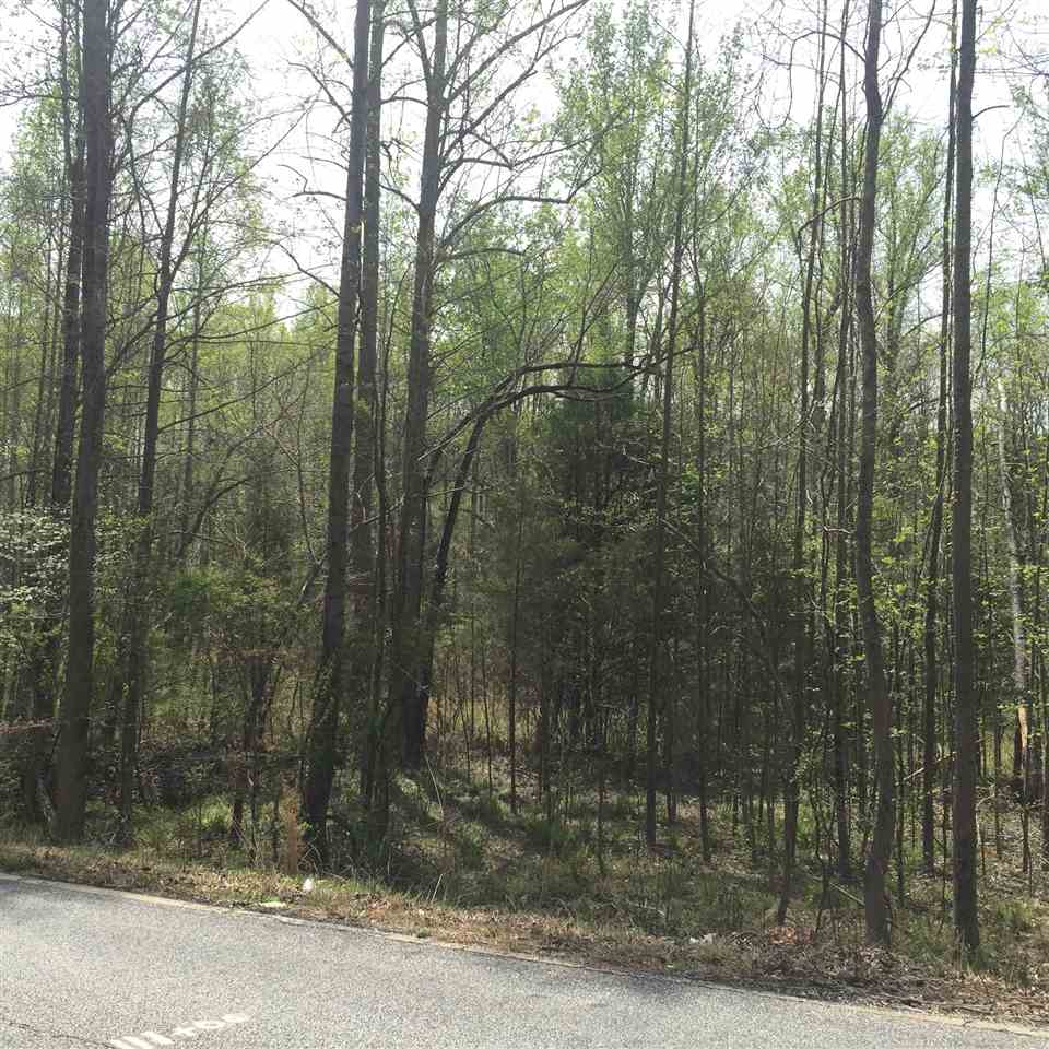 0 Harrison Grove Road Roebuck, SC 29376 - Photo 3 of 8