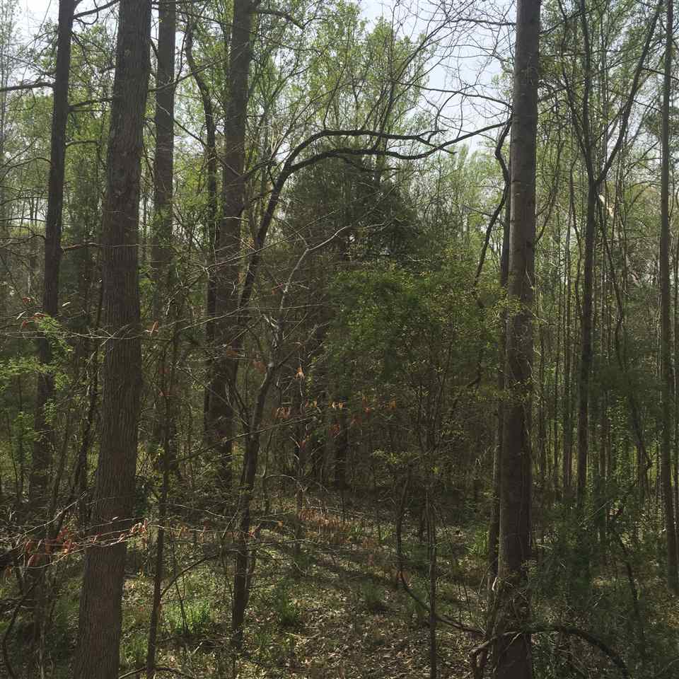 0 Harrison Grove Road Roebuck, SC 29376 - Photo 6 of 8