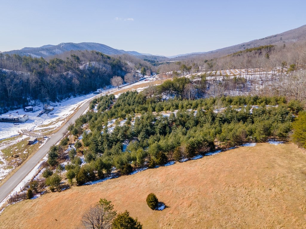Tbd Wesendonck Road, Unit 22A Bland, VA 24315 - Photo 7 of 19 Gallery Image 7