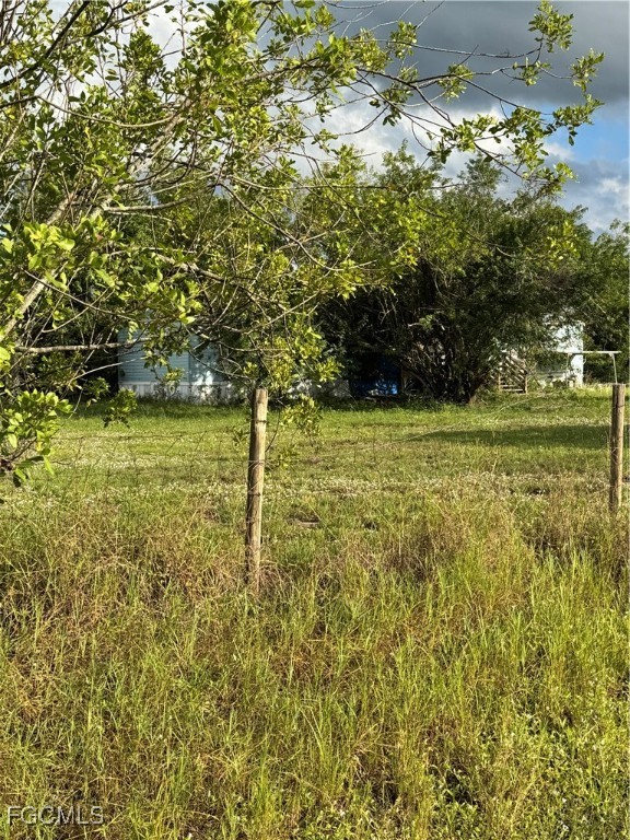 765 North Lindero Street Clewiston, FL 33440 - Photo 7 of 8 a view of a yard with an trees
