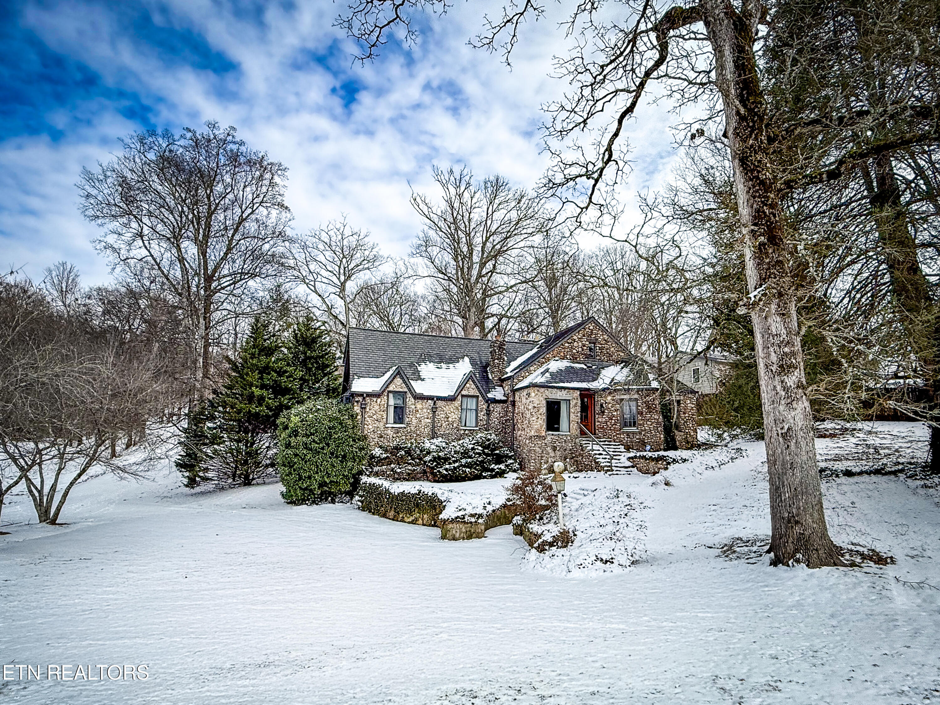 508 Concord Road Knoxville, TN 37934 - Photo 59 of 60 Snow front
