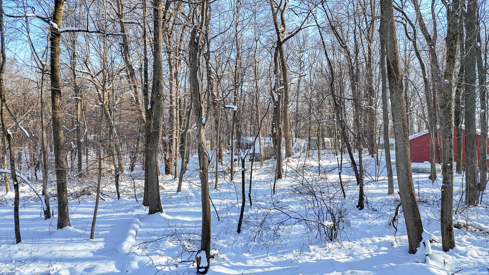 4 Forest Road Dowagiac, MI 49047 - Photo 10 of 16 CABLE LAKE