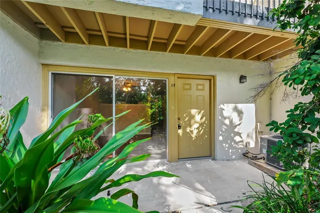 a close up of a plant in a garden