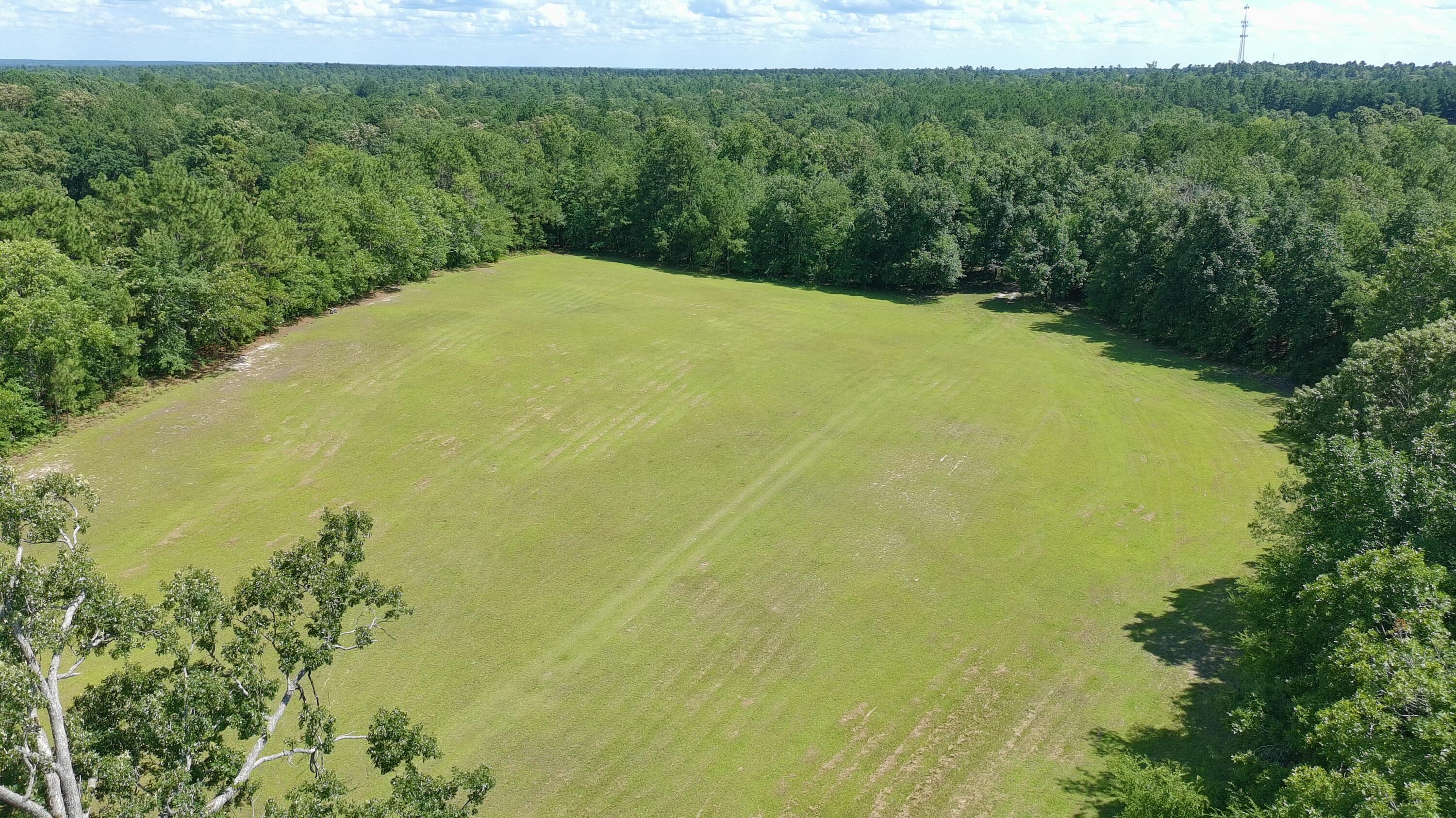 41-acres Whiskey Road Aiken, SC 29803 - Photo 38 of 44