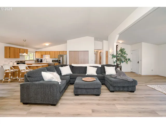 a living room with furniture and a potted plant