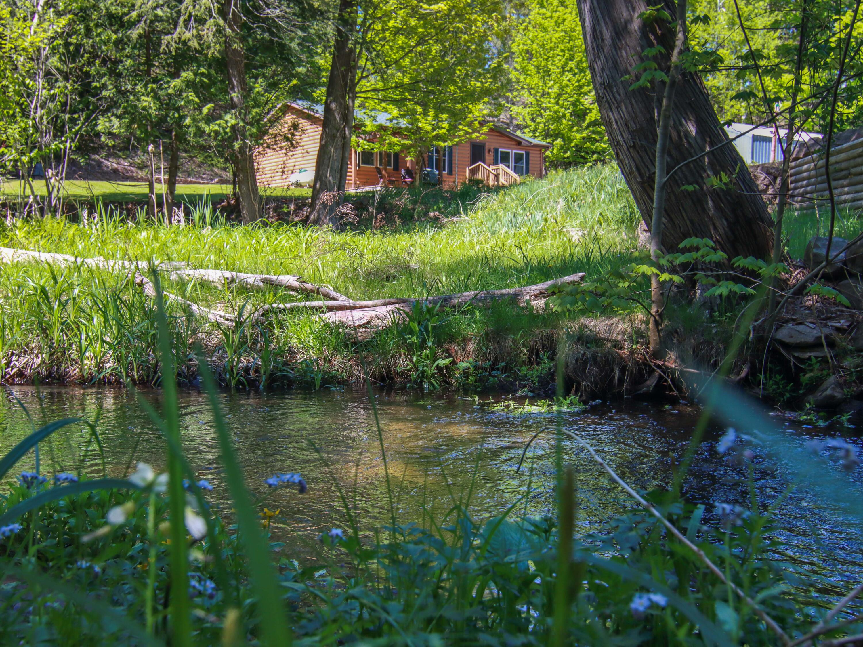 8086 Narrow Gauge Road Beulah, MI 49617 - Photo 6 of 48 20250522-IMG_9394