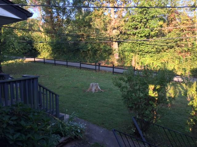 1112 Granville Conner Road Powell, TN 37849 - Photo 25 of 29 IMG_5398