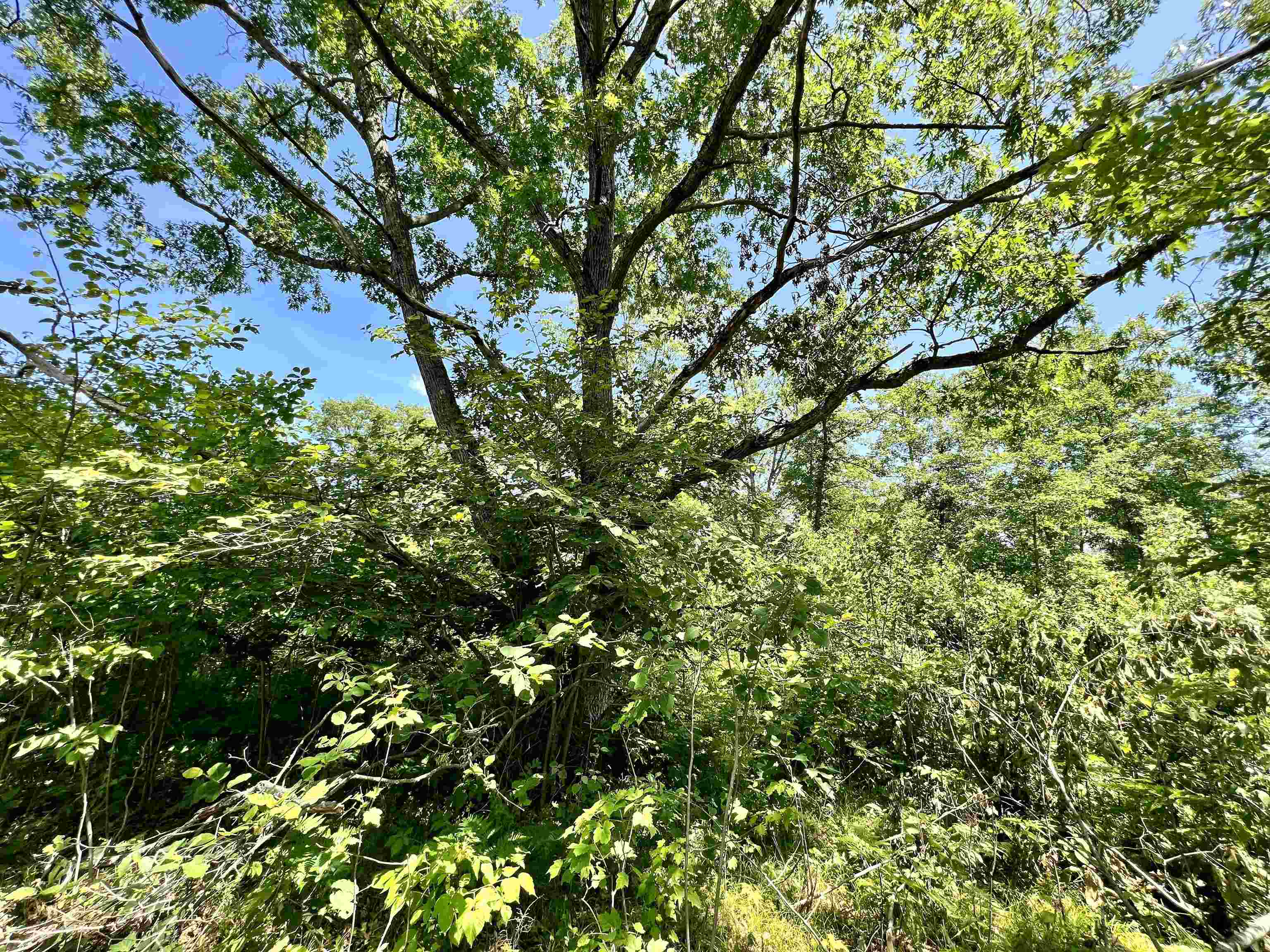 W8040 Quarry Road Crivitz, WI 54114 - Photo 22 of 32