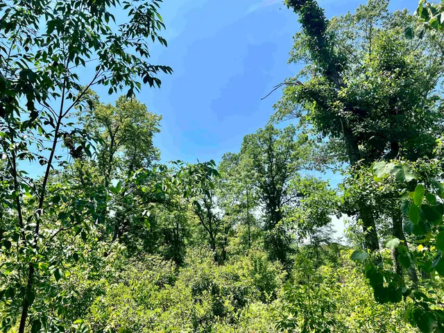 $269,900 | W8040 Quarry Road, Crivitz, WI 54114