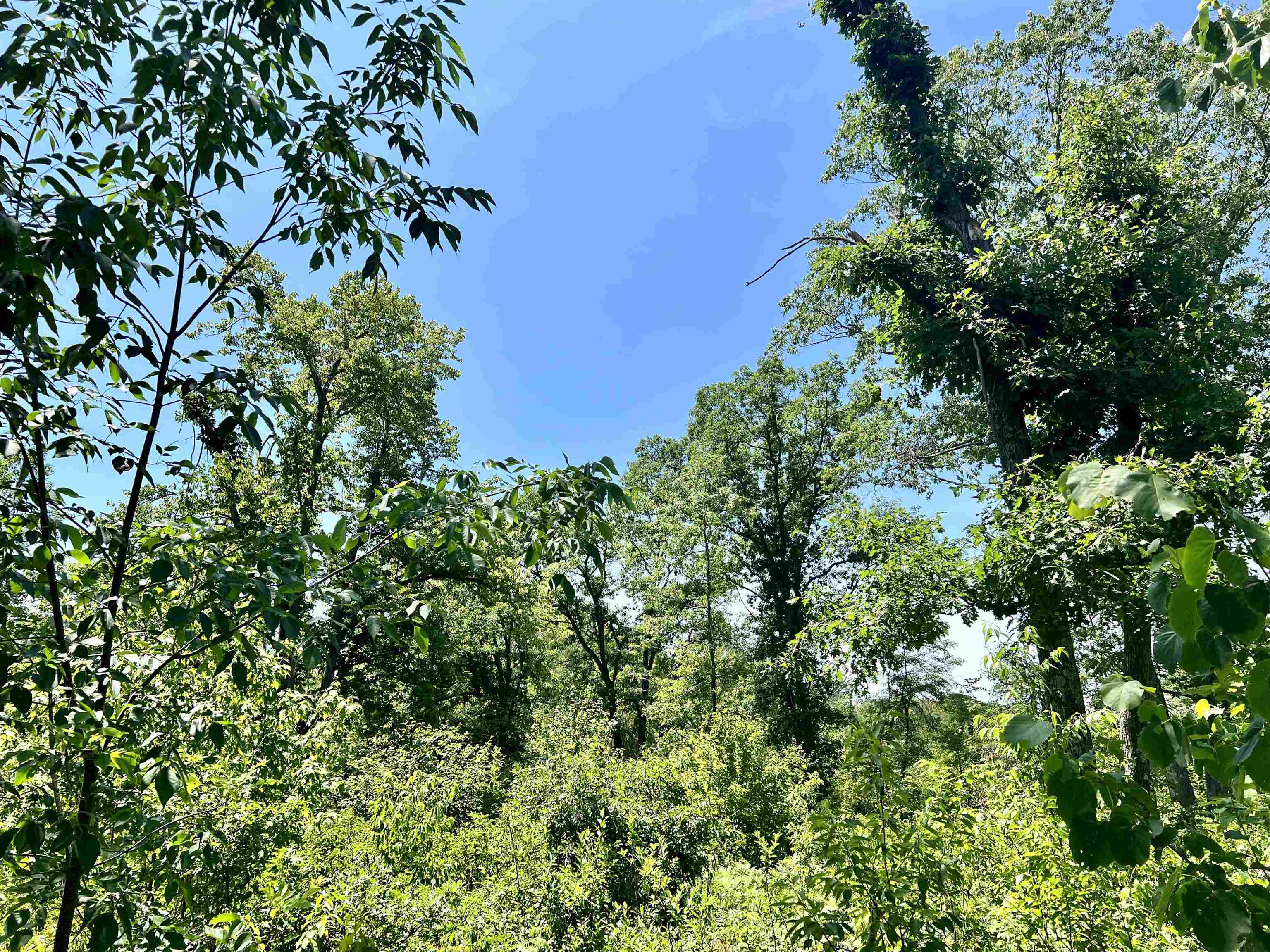 W8040 Quarry Road Crivitz, WI 54114 - Photo 6 of 32