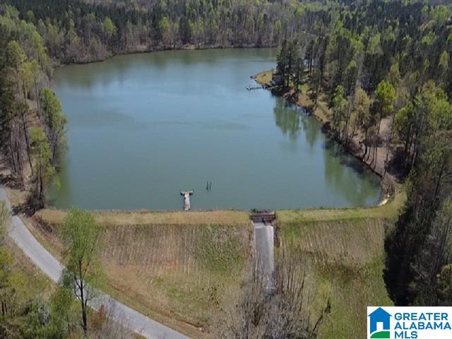 3400 Idaho Road Ashland, AL 36251 - Photo 40 of 41