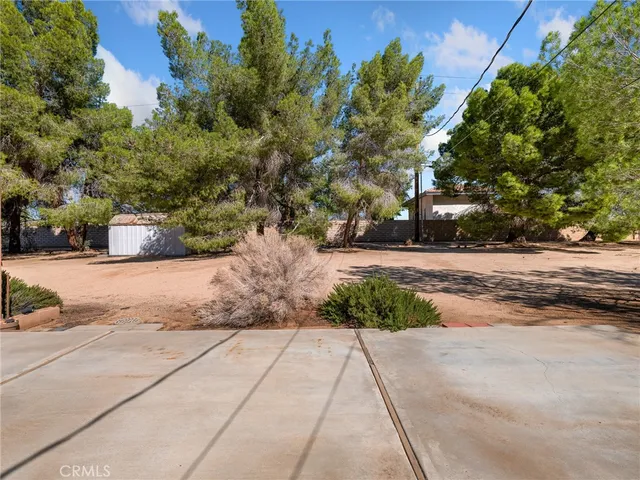 a view of a backyard