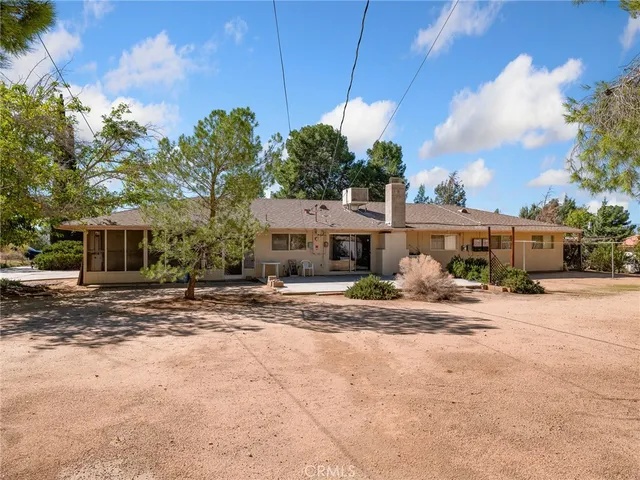 a view of a yard with plants and trees