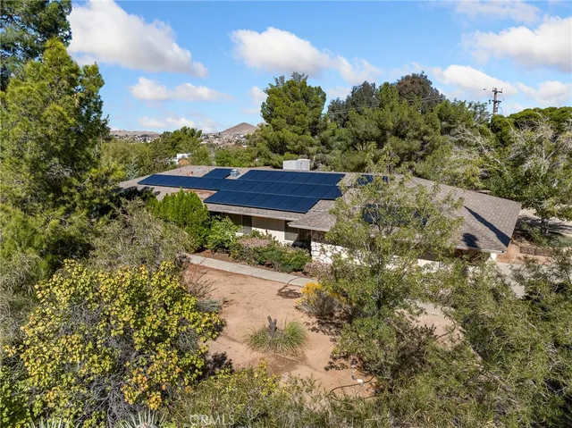 a view of a yard with plants and a bench