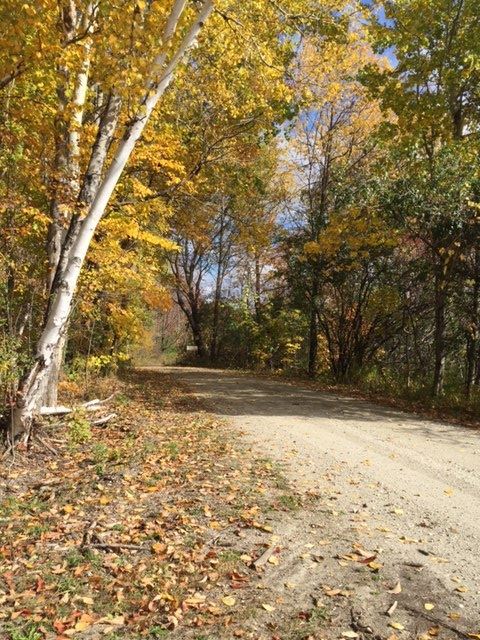 263 Dutch Hill Road Danby, VT 05739 - Photo 5 of 22 Gallery Image 5