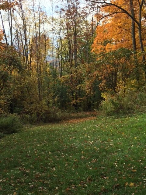 263 Dutch Hill Road Danby, VT 05739 - Photo 6 of 22 Gallery Image 6