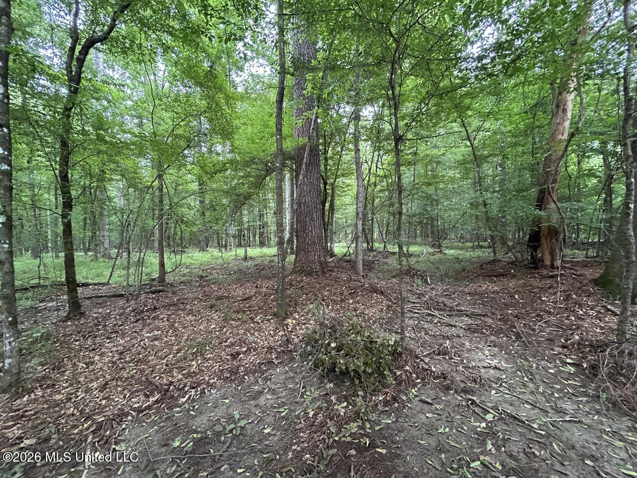6643 Grange Hall Road Osyka, MS 39657 - Photo 20 of 39 IMG_4444 Large