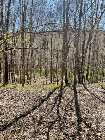 a view of a backyard of the house