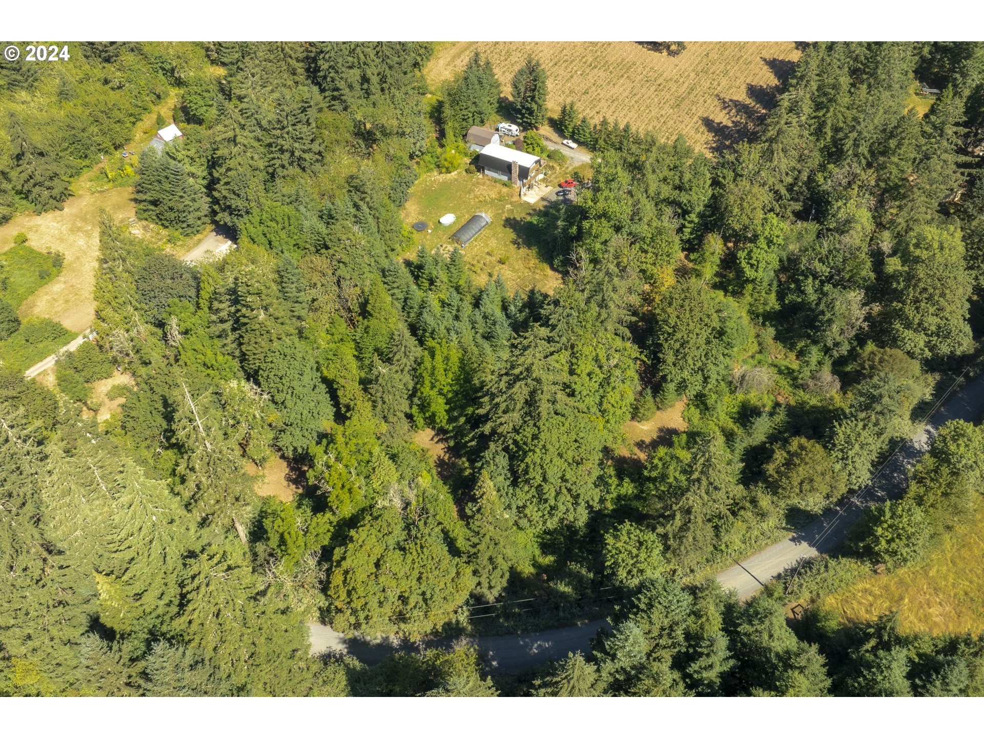 0 Northeast Williamson Road Newberg, OR 97132 - Photo 1 of 17 a view of a forest