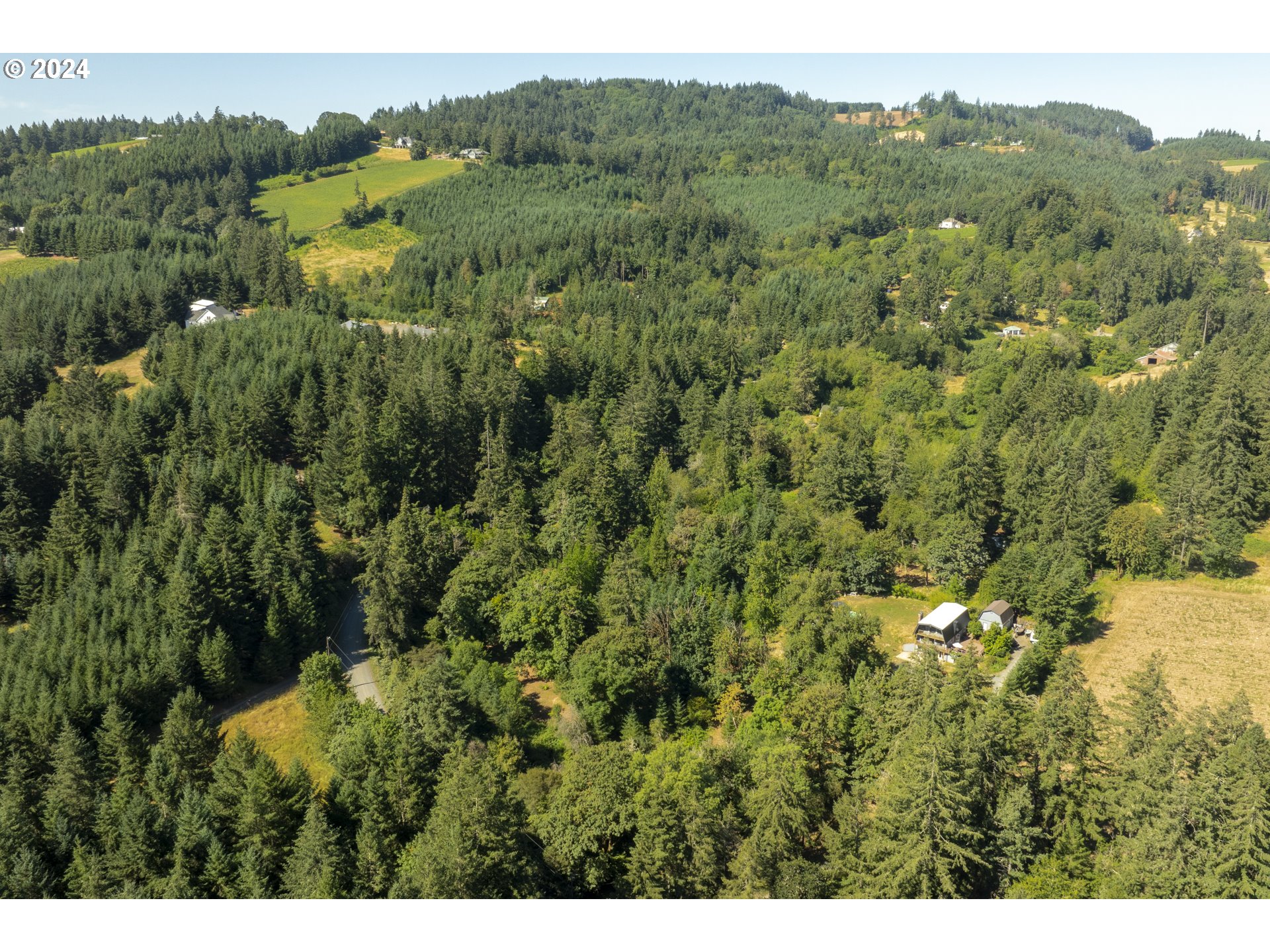 0 Northeast Williamson Road Newberg, OR 97132 - Photo 11 of 17 a view of a lush green forest with trees and some houses