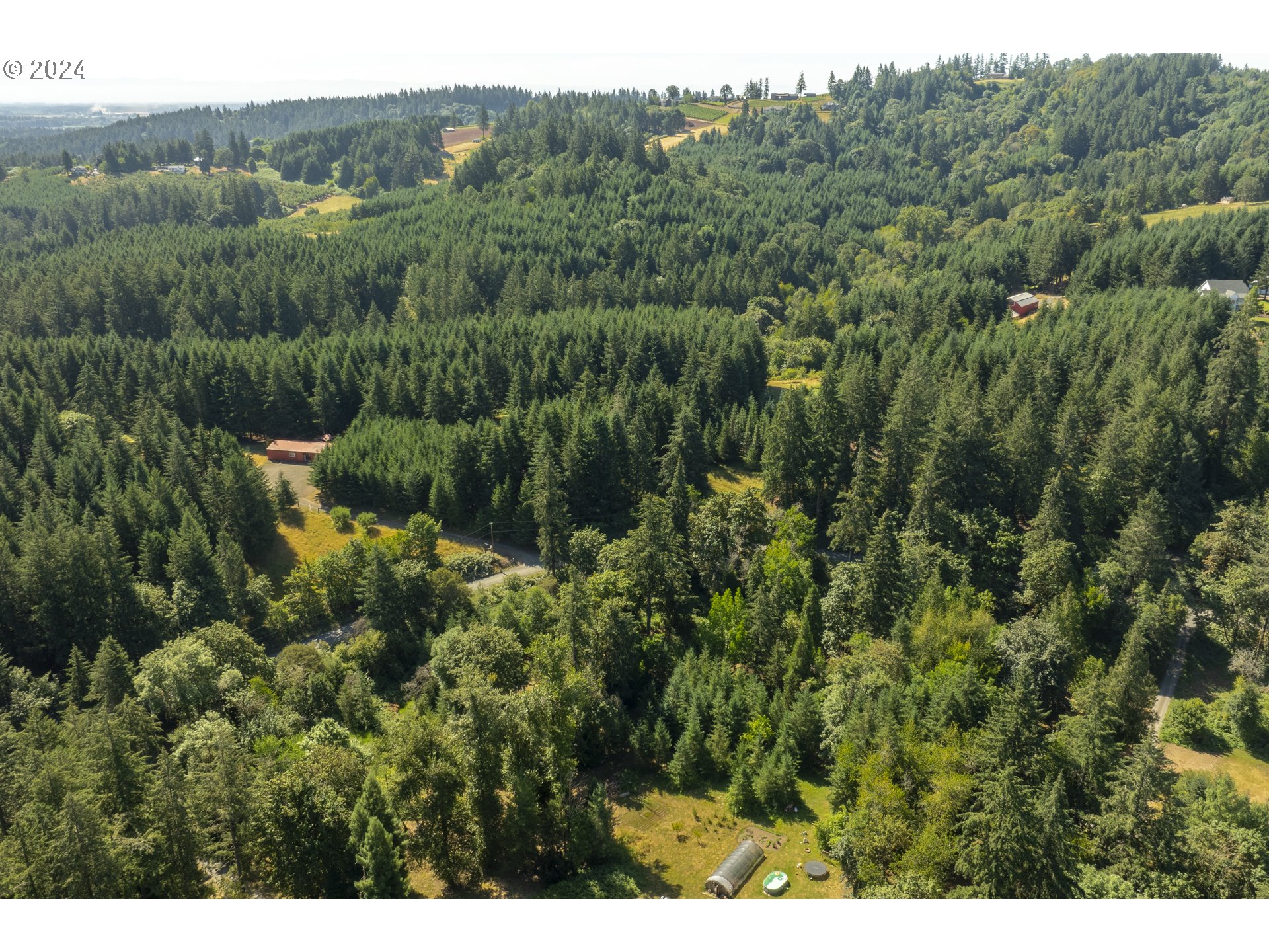 0 Northeast Williamson Road Newberg, OR 97132 - Photo 12 of 17 a view of a lush green forest with trees and some houses