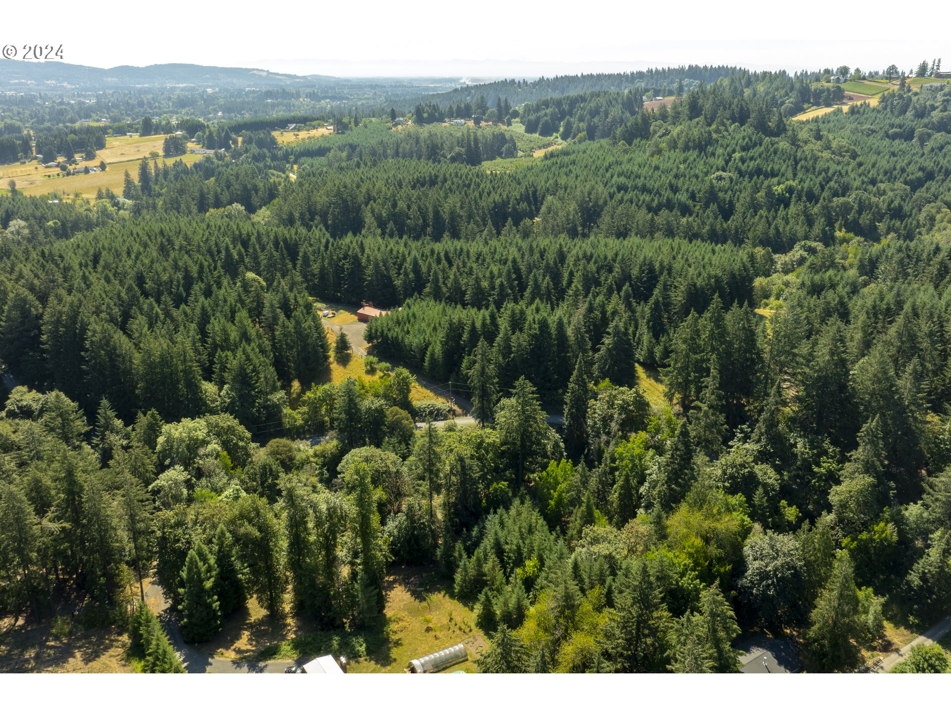 0 Northeast Williamson Road Newberg, OR 97132 - Photo 13 of 17 a view of a forest with a street and trees