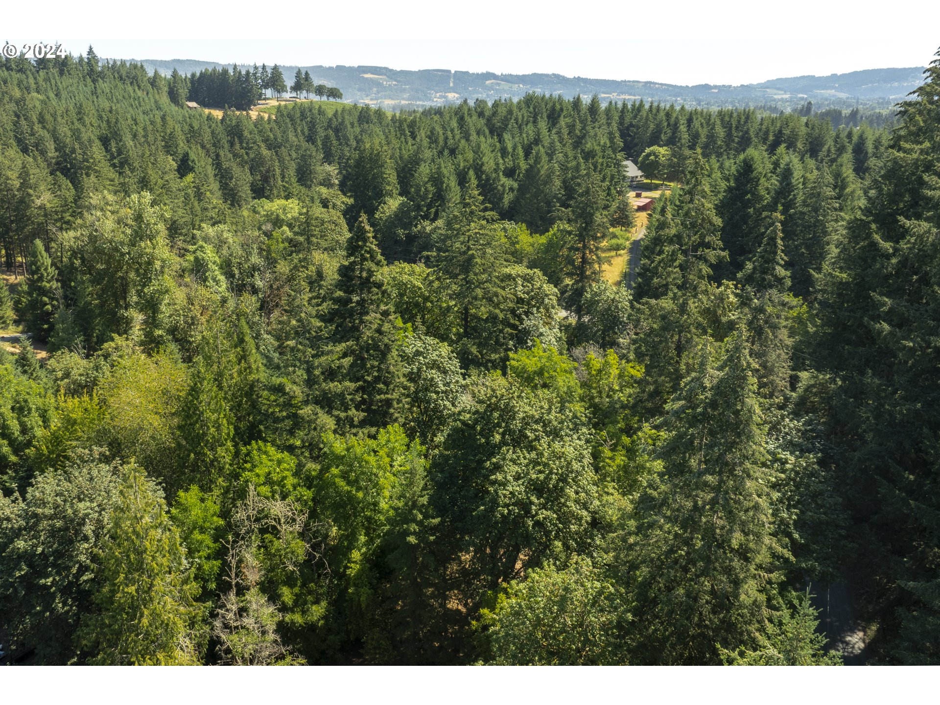 0 Northeast Williamson Road Newberg, OR 97132 - Photo 15 of 17 a view of a lush green forest with trees and houses