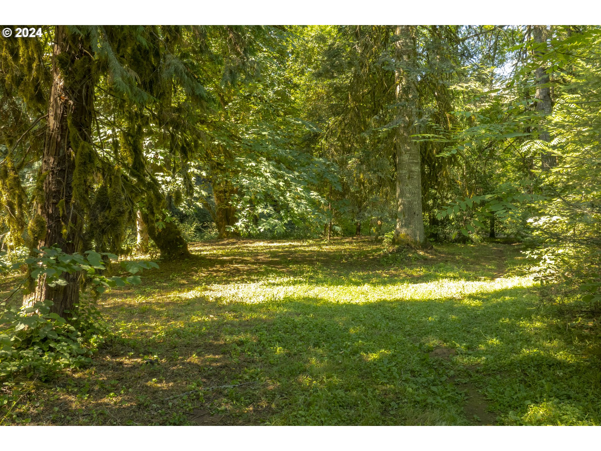 0 Northeast Williamson Road Newberg, OR 97132 - Photo 3 of 17 a view of yard