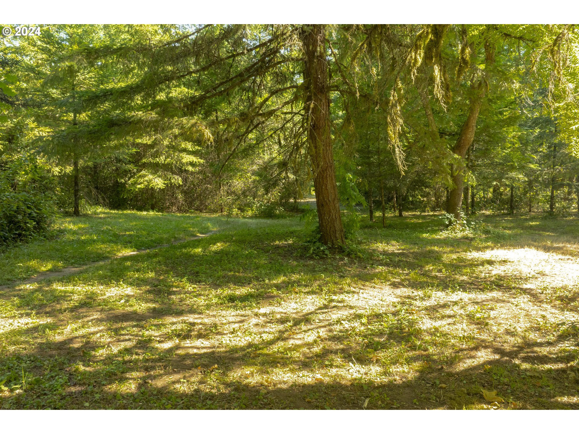 0 Northeast Williamson Road Newberg, OR 97132 - Photo 4 of 17 a view of a yard with an outdoor space