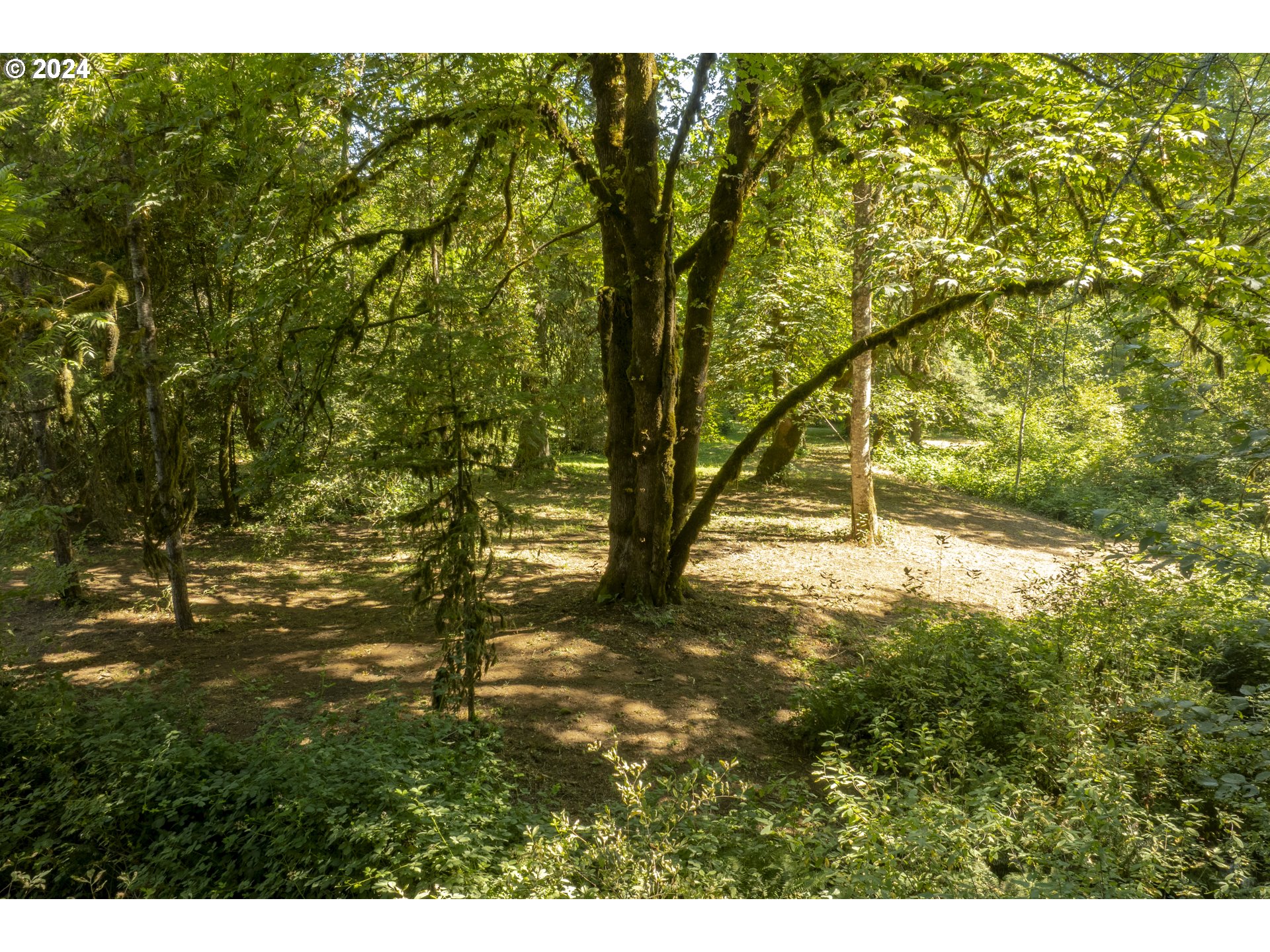 0 Northeast Williamson Road Newberg, OR 97132 - Photo 5 of 17 a view of outdoor space and a yard