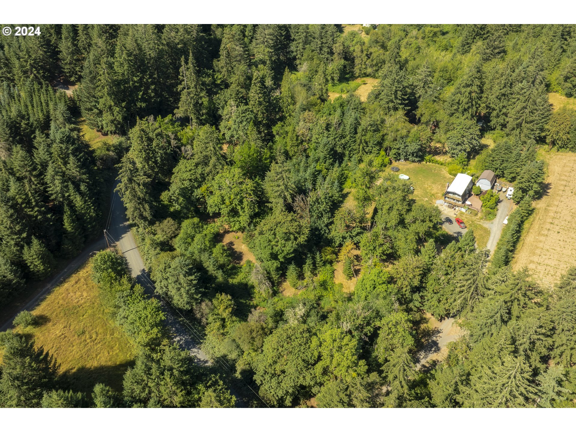 0 Northeast Williamson Road Newberg, OR 97132 - Photo 10 of 17 a view of a forest that has a tree