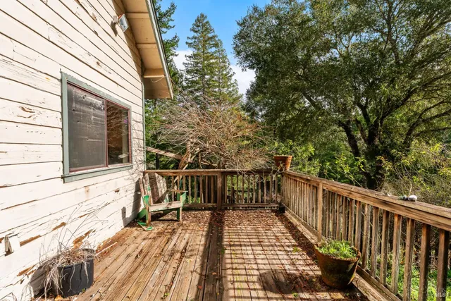 a view of a house with backyard and a tree