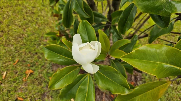 $2,400 | 511 Autumns Wood Circle West, Brunswick, GA 31525