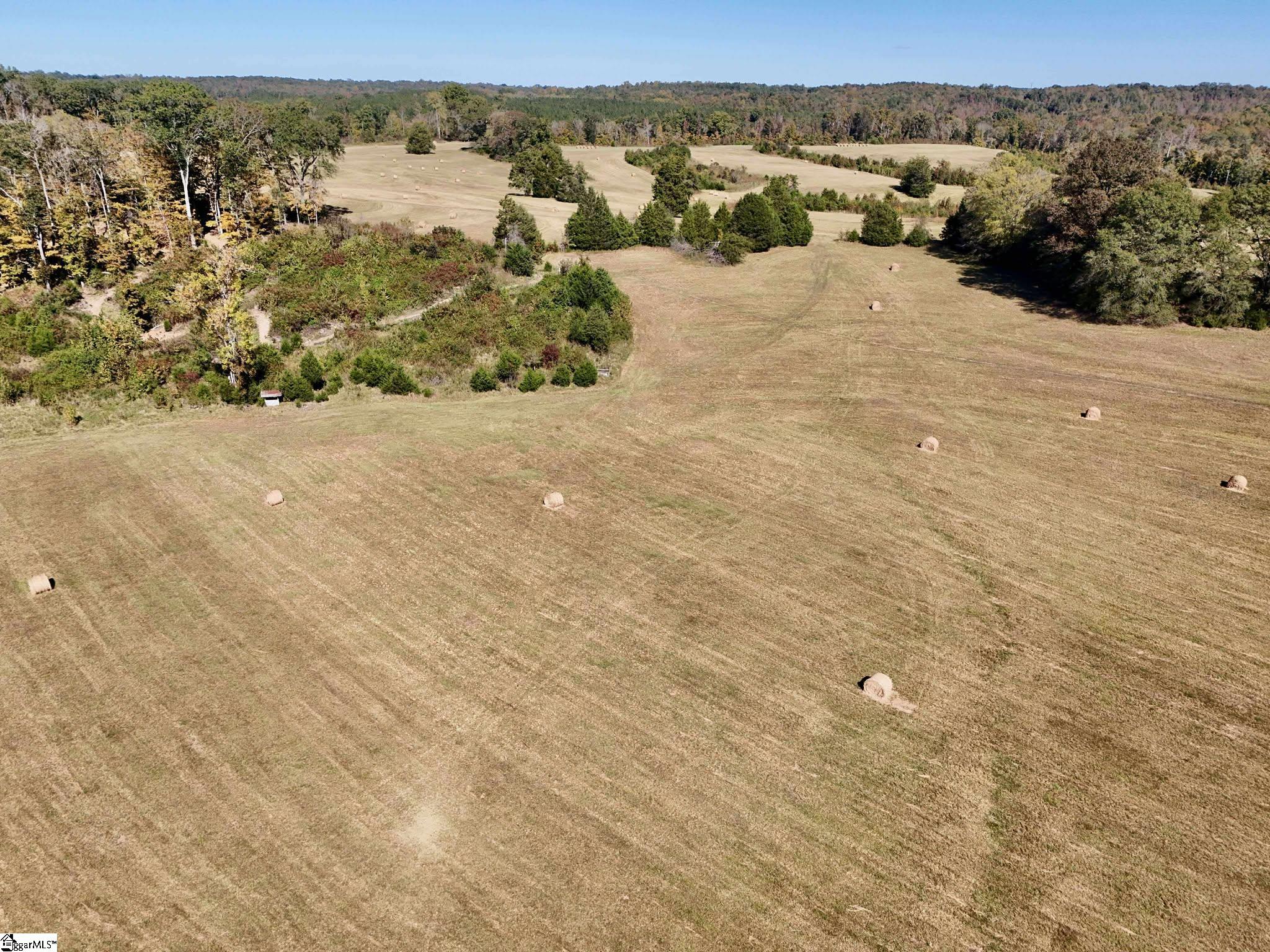 258 Dupree Farm Road Buffalo, SC 29321 - Photo 3 of 15