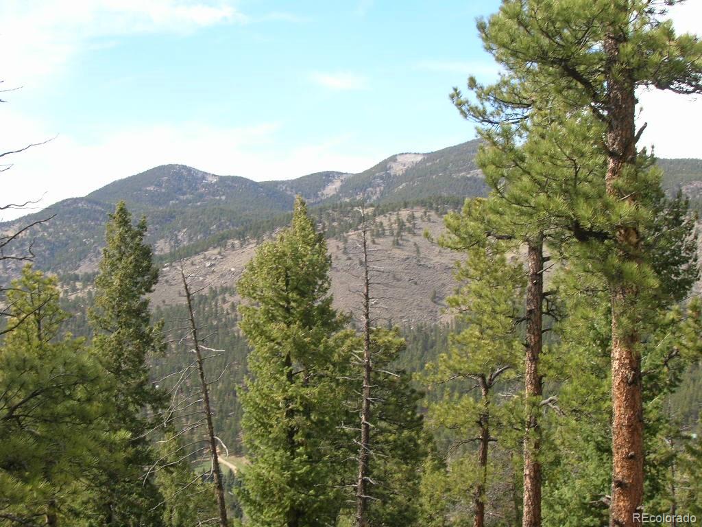 7 Long Road Idaho Springs, CO 80452 - Photo 1 of 1 Gallery Image 1