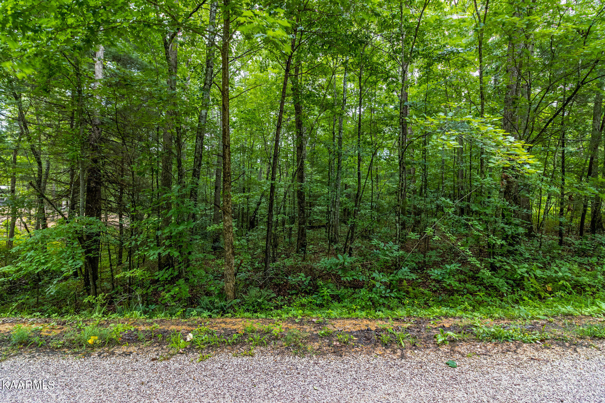 Long Branch Jamestown, TN 38556 - Photo 11 of 27 IMG_1269-HDR