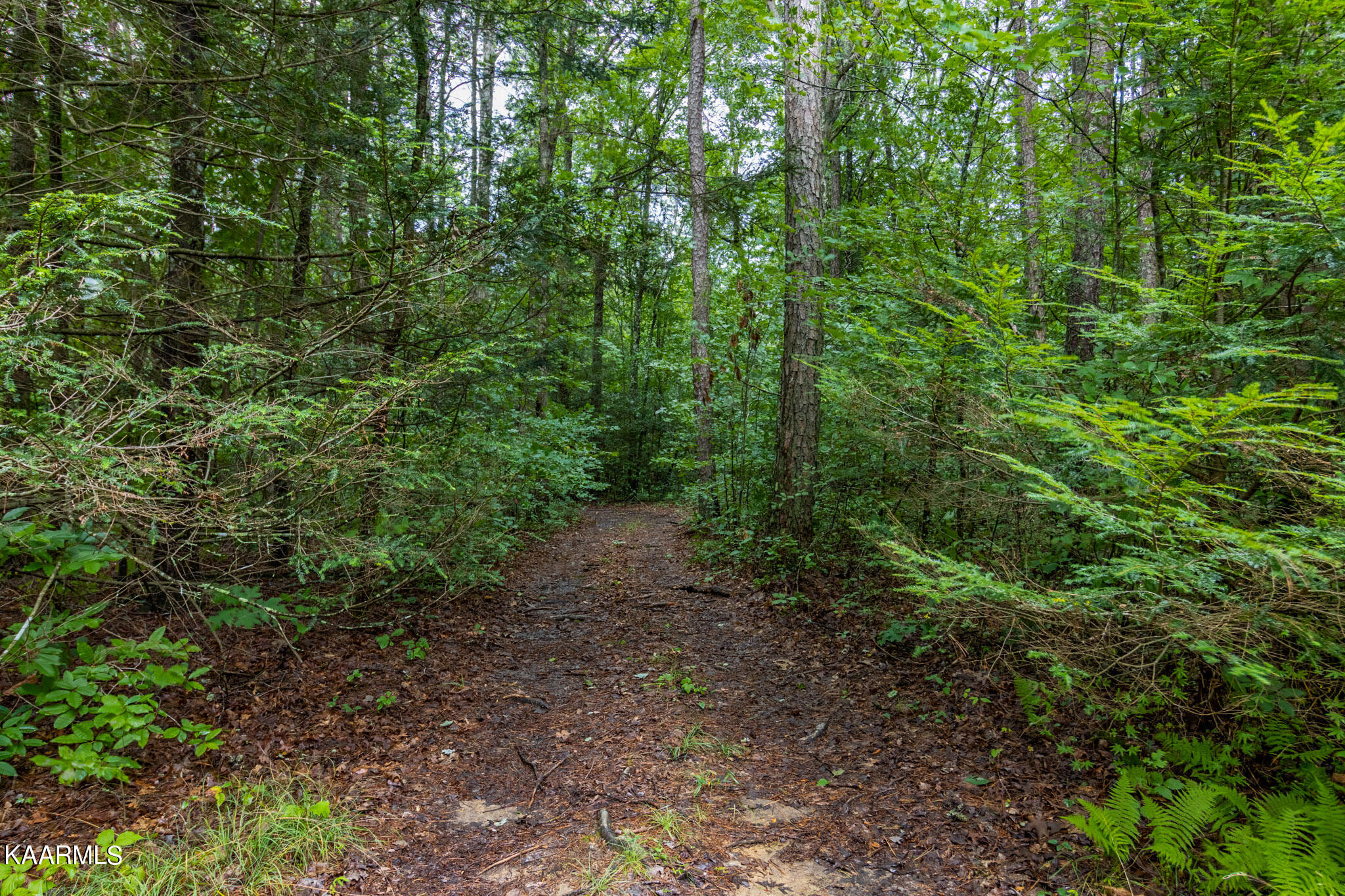 Long Branch Jamestown, TN 38556 - Photo 12 of 27 IMG_1287-HDR