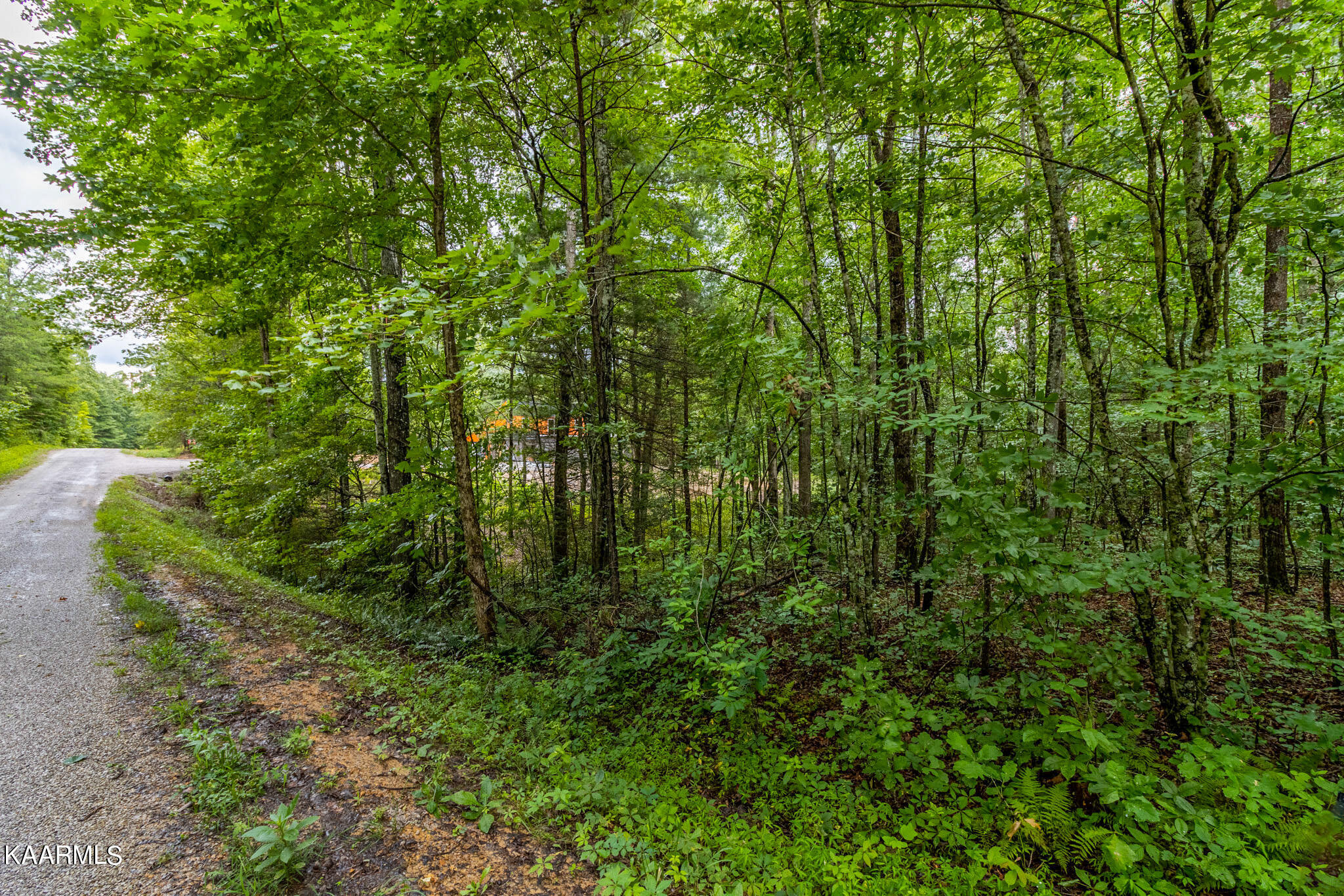 Long Branch Jamestown, TN 38556 - Photo 23 of 27 IMG_1275-HDR