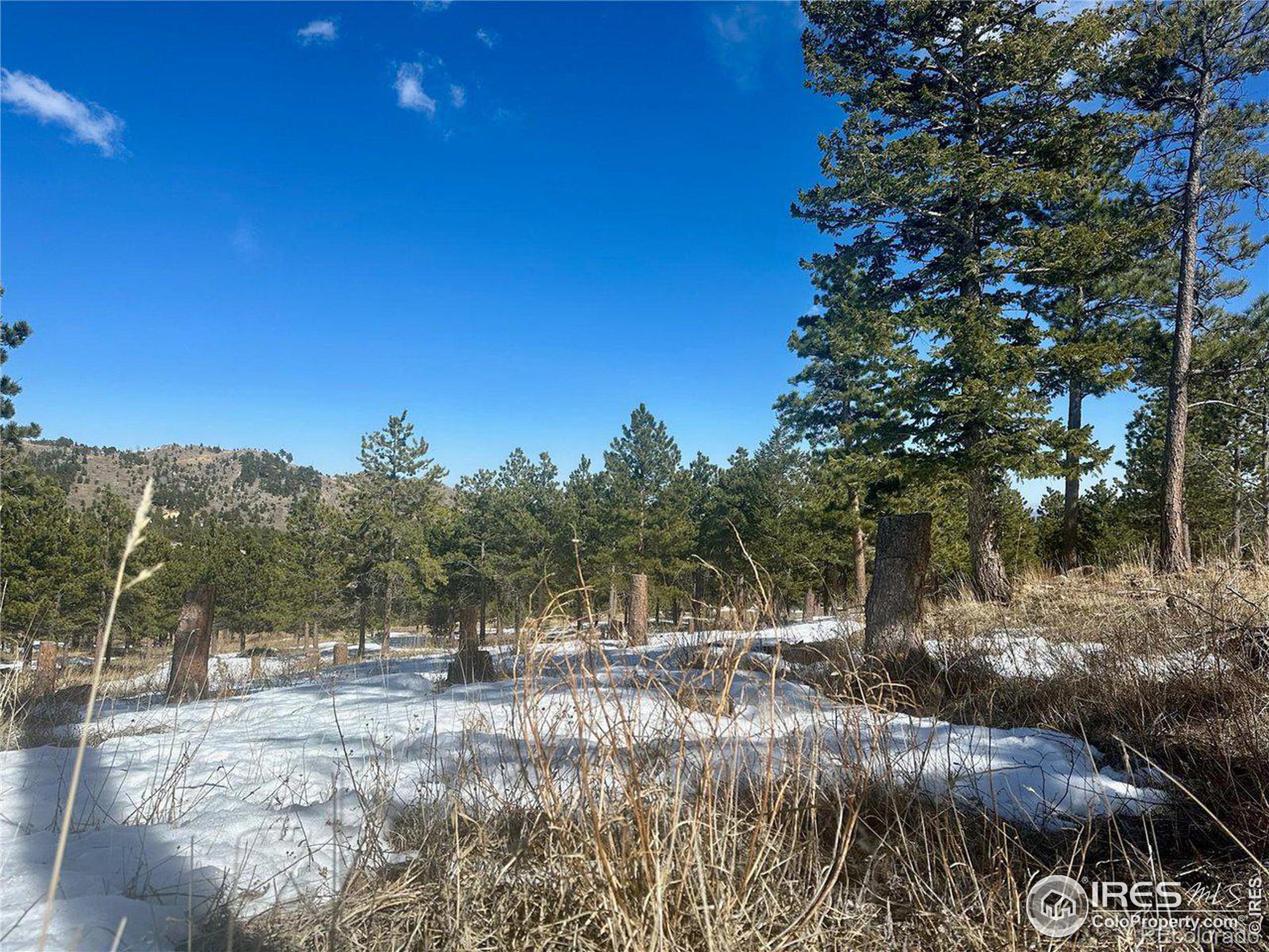 783 Dixon Road Boulder, CO 80302 - Photo 5 of 9